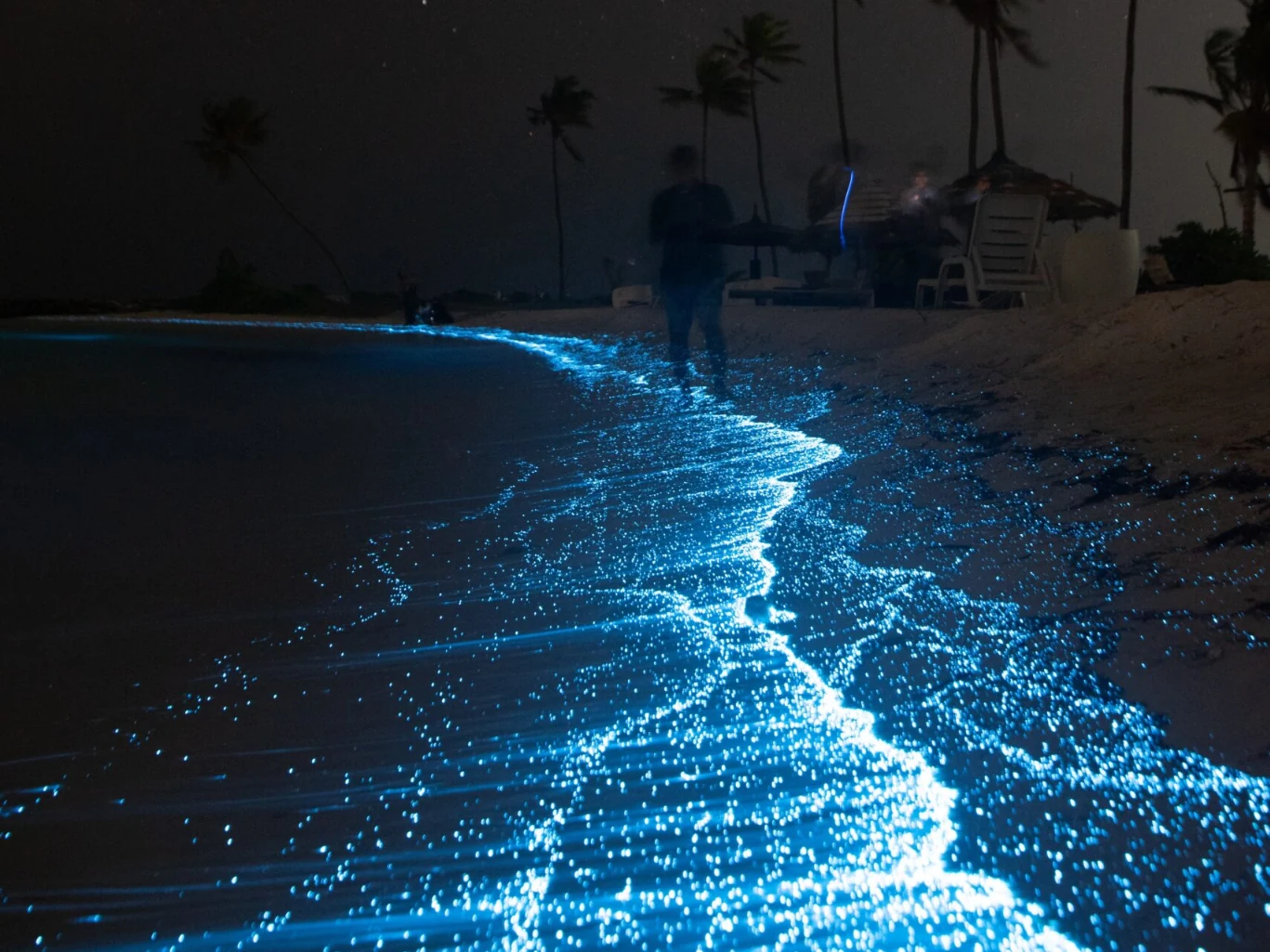Bioluminescent shoreline glowing at night near La Parguera, Puerto Rico