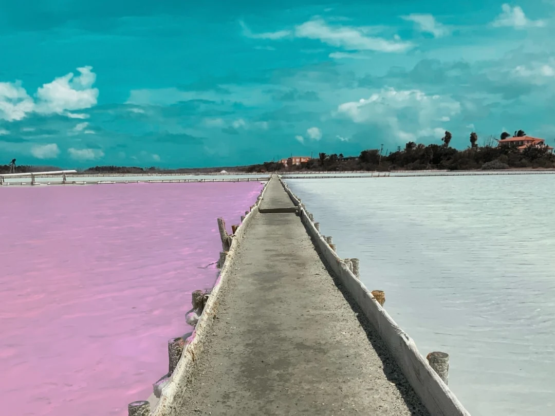 Pink salt flats at Las Salinas in the Cabo Rojo National Wildlife Refuge