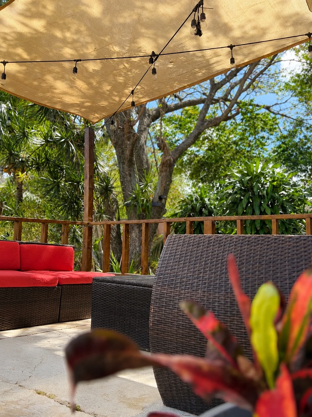 Sala exterior tropical de Villa Leddy