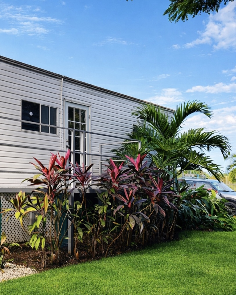 Exterior de Villa Leddy con la puerta, la palma y el jardín tropical