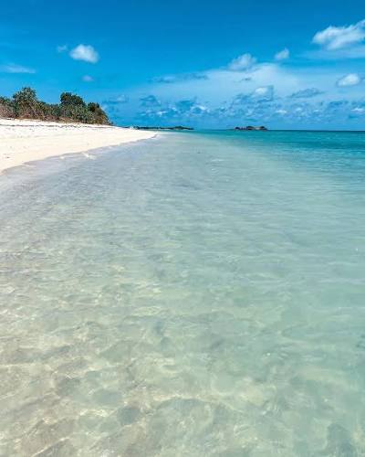 Punta Águila